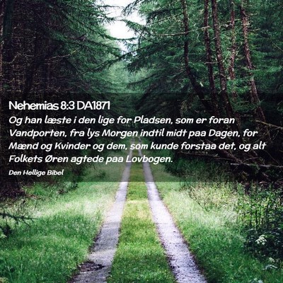 Picture 02 - Nehemias 8:3 DA1871 - Og han læste i den lige for Pladsen, som er - Bible Verse Picture