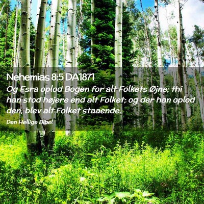 Picture 02 - Nehemias 8:5 DA1871 - Og Esra oplod Bogen for alt Folkets Øjne; thi - Bible Verse Picture