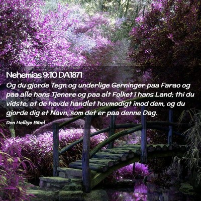 Picture 02 - Nehemias 9:10 DA1871 - Og du gjorde Tegn og underlige Gerninger paa - Bible Verse Picture