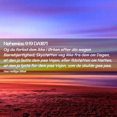 Picture 02 - Nehemias 9:19 DA1871 - Og du forlod dem ikke i Ørken efter din megen - Bible Verse Picture