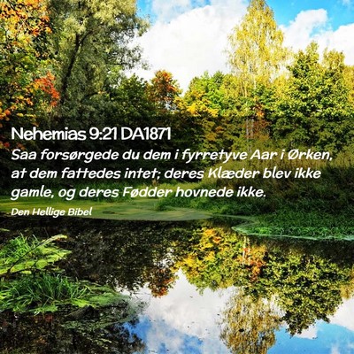 Picture 02 - Nehemias 9:21 DA1871 - Saa forsørgede du dem i fyrretyve Aar i Ørken, - Bible Verse Picture