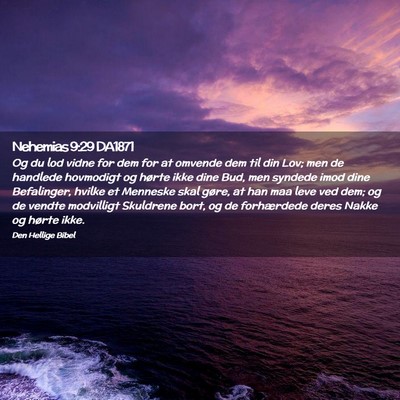 Picture 02 - Nehemias 9:29 DA1871 - Og du lod vidne for dem for at omvende dem til - Bible Verse Picture
