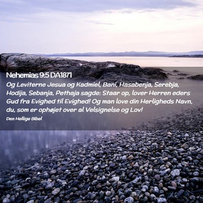 Picture 02 - Nehemias 9:5 DA1871 - Og Leviterne Jesua og Kadmiel, Bani, Hasabenja, - Bible Verse Picture