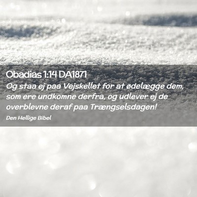 Picture 02 - Obadias 1:14 DA1871 - Og staa ej paa Vejskellet for at ødelægge dem, - Bible Verse Picture