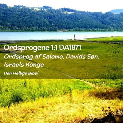 Picture 02 - Ordsprogene 1:1 DA1871 - Ordsprog af Salomo, Davids Søn, Israels - Bible Verse Picture