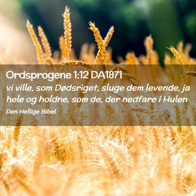 Picture 02 - Ordsprogene 1:12 DA1871 - vi ville, som Dødsriget, sluge dem levende, ja - Bible Verse Picture