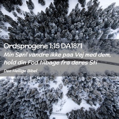 Picture 02 - Ordsprogene 1:15 DA1871 - Min Søn! vandre ikke paa Vej med dem, hold din - Bible Verse Picture