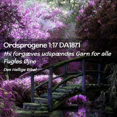 Picture 02 - Ordsprogene 1:17 DA1871 - thi forgæves udspændes Garn for alle Fugles - Bible Verse Picture