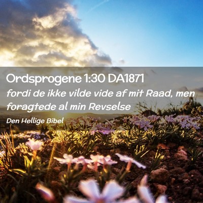Picture 02 - Ordsprogene 1:30 DA1871 - fordi de ikke vilde vide af mit Raad, men - Bible Verse Picture