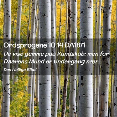 Picture 02 - Ordsprogene 10:14 DA1871 - De vise gemme paa Kundskab; men for Daarens Mund - Bible Verse Picture