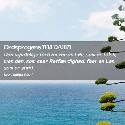 Picture 02 - Ordsprogene 11:18 DA1871 - Den ugudelige forhverver en Løn, som er falsk; - Bible Verse Picture