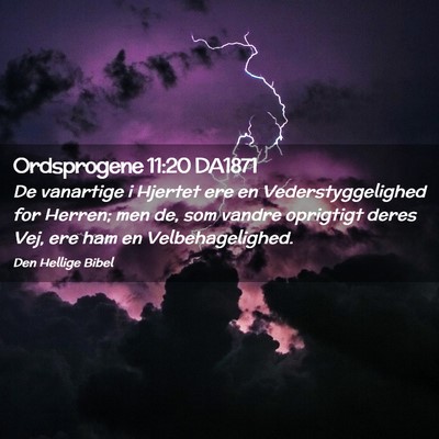 Picture 02 - Ordsprogene 11:20 DA1871 - De vanartige i Hjertet ere en Vederstyggelighed - Bible Verse Picture