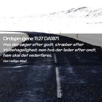 Picture 02 - Ordsprogene 11:27 DA1871 - Hvo der søger efter godt, stræber efter - Bible Verse Picture