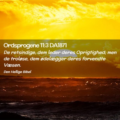 Picture 02 - Ordsprogene 11:3 DA1871 - De retsindige, dem leder deres Oprigtighed; men - Bible Verse Picture