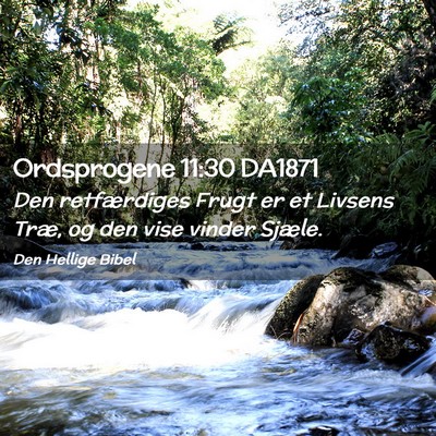 Picture 02 - Ordsprogene 11:30 DA1871 - Den retfærdiges Frugt er et Livsens Træ, og den - Bible Verse Picture