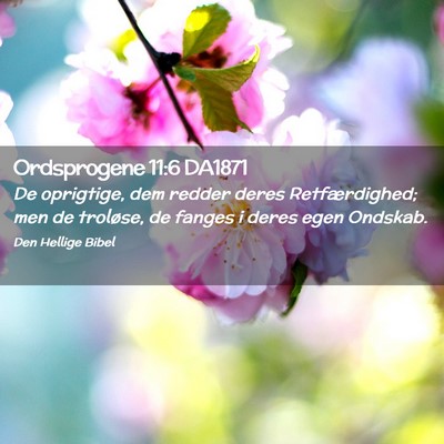 Picture 02 - Ordsprogene 11:6 DA1871 - De oprigtige, dem redder deres Retfærdighed; men - Bible Verse Picture