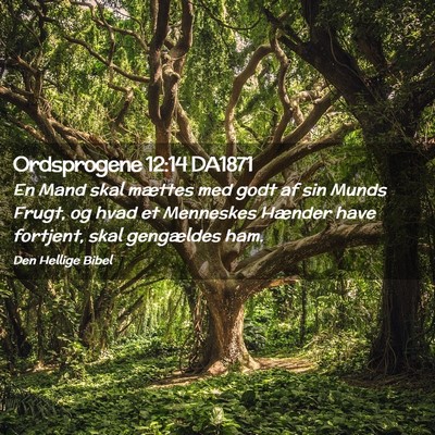 Picture 02 - Ordsprogene 12:14 DA1871 - En Mand skal mættes med godt af sin Munds Frugt, - Bible Verse Picture