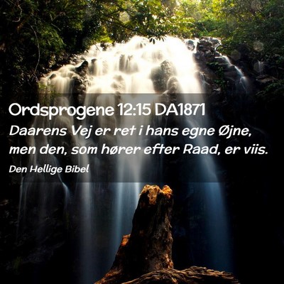 Picture 02 - Ordsprogene 12:15 DA1871 - Daarens Vej er ret i hans egne Øjne, men den, - Bible Verse Picture