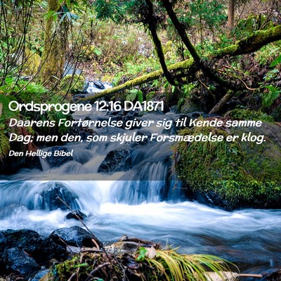 Picture 02 - Ordsprogene 12:16 DA1871 - Daarens Fortørnelse giver sig til Kende samme - Bible Verse Picture