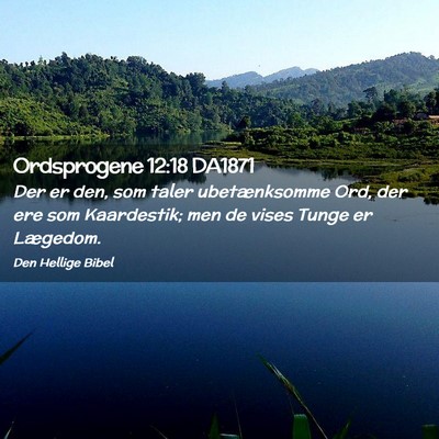 Picture 02 - Ordsprogene 12:18 DA1871 - Der er den, som taler ubetænksomme Ord, der ere - Bible Verse Picture