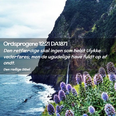Picture 02 - Ordsprogene 12:21 DA1871 - Den retfærdige skal ingen som helst Ulykke - Bible Verse Picture
