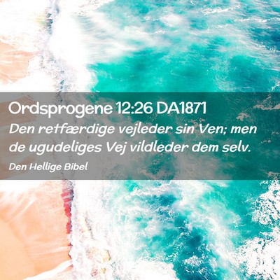 Picture 02 - Ordsprogene 12:26 DA1871 - Den retfærdige vejleder sin Ven; men de - Bible Verse Picture