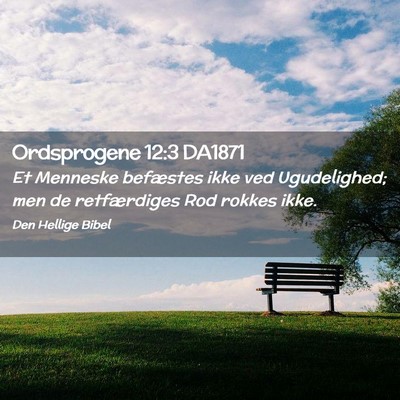 Picture 02 - Ordsprogene 12:3 DA1871 - Et Menneske befæstes ikke ved Ugudelighed; men - Bible Verse Picture