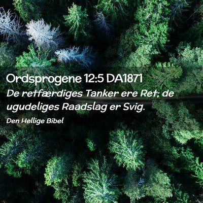 Picture 02 - Ordsprogene 12:5 DA1871 - De retfærdiges Tanker ere Ret; de ugudeliges - Bible Verse Picture
