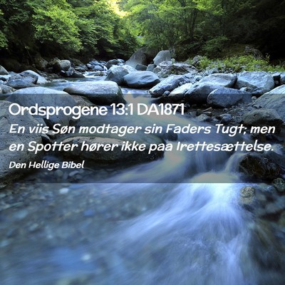 Picture 02 - Ordsprogene 13:1 DA1871 - En viis Søn modtager sin Faders Tugt; men en - Bible Verse Picture