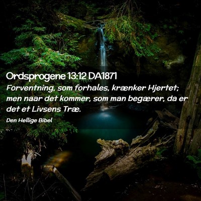 Picture 02 - Ordsprogene 13:12 DA1871 - Forventning, som forhales, krænker Hjertet; men - Bible Verse Picture