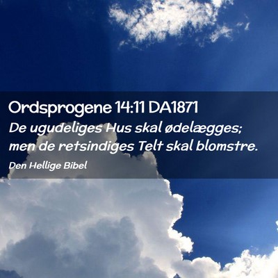 Picture 02 - Ordsprogene 14:11 DA1871 - De ugudeliges Hus skal ødelægges; men de - Bible Verse Picture