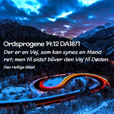 Picture 02 - Ordsprogene 14:12 DA1871 - Der er en Vej, som kan synes en Mand ret; men til - Bible Verse Picture