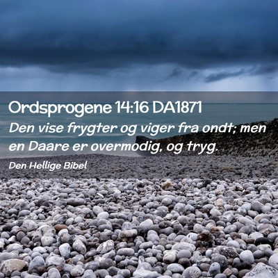 Picture 02 - Ordsprogene 14:16 DA1871 - Den vise frygter og viger fra ondt; men en Daare - Bible Verse Picture