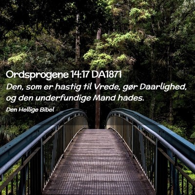 Picture 02 - Ordsprogene 14:17 DA1871 - Den, som er hastig til Vrede, gør Daarlighed, og - Bible Verse Picture