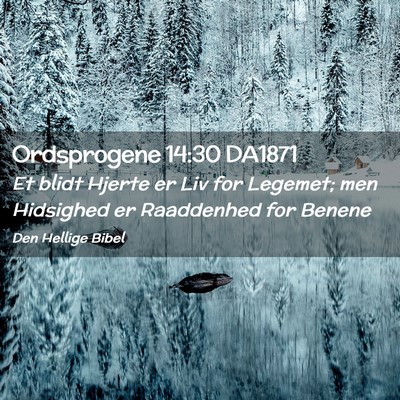 Picture 02 - Ordsprogene 14:30 DA1871 - Et blidt Hjerte er Liv for Legemet; men Hidsighed - Bible Verse Picture