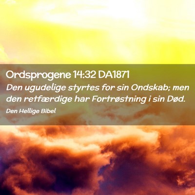 Picture 02 - Ordsprogene 14:32 DA1871 - Den ugudelige styrtes for sin Ondskab; men den - Bible Verse Picture