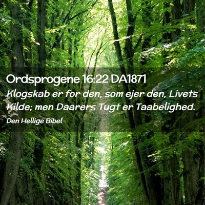 Picture 02 - Ordsprogene 16:22 DA1871 - Klogskab er for den, som ejer den, Livets Kilde; - Bible Verse Picture