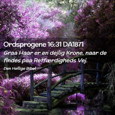Picture 02 - Ordsprogene 16:31 DA1871 - Graa Haar er en dejlig Krone, naar de findes paa - Bible Verse Picture