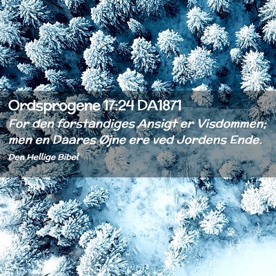 Picture 02 - Ordsprogene 17:24 DA1871 - For den forstandiges Ansigt er Visdommen; men en - Bible Verse Picture