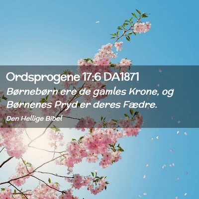Picture 02 - Ordsprogene 17:6 DA1871 - Børnebørn ere de gamles Krone, og Børnenes - Bible Verse Picture