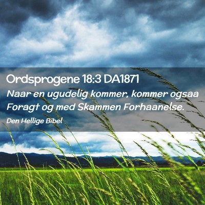 Picture 02 - Ordsprogene 18:3 DA1871 - Naar en ugudelig kommer, kommer ogsaa Foragt og - Bible Verse Picture