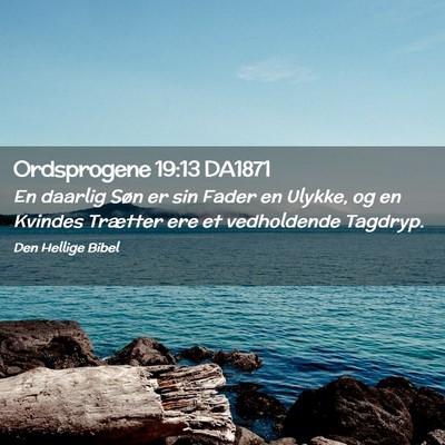 Picture 02 - Ordsprogene 19:13 DA1871 - En daarlig Søn er sin Fader en Ulykke, og en - Bible Verse Picture