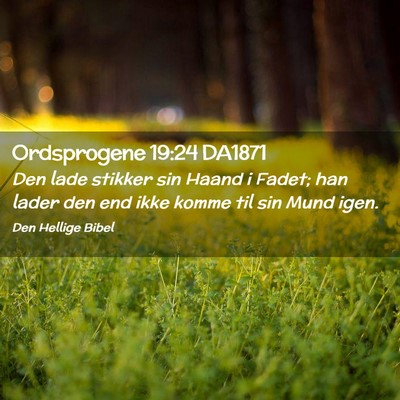 Picture 02 - Ordsprogene 19:24 DA1871 - Den lade stikker sin Haand i Fadet; han lader den - Bible Verse Picture