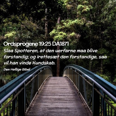 Picture 02 - Ordsprogene 19:25 DA1871 - Slaa Spotteren, at den uerfarne maa blive - Bible Verse Picture