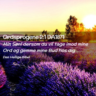Picture 02 - Ordsprogene 2:1 DA1871 - Min Søn! dersom du vil tage imod mine Ord og - Bible Verse Picture