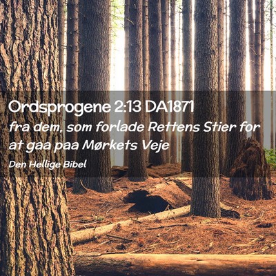 Picture 02 - Ordsprogene 2:13 DA1871 - fra dem, som forlade Rettens Stier for at gaa paa - Bible Verse Picture
