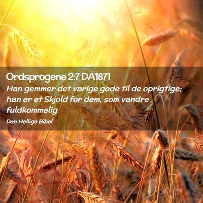 Picture 02 - Ordsprogene 2:7 DA1871 - Han gemmer det varige gode til de oprigtige; han - Bible Verse Picture