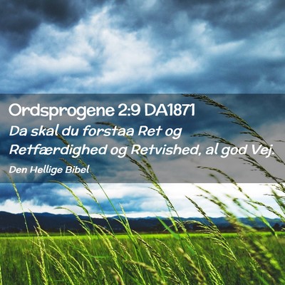Picture 02 - Ordsprogene 2:9 DA1871 - Da skal du forstaa Ret og Retfærdighed og - Bible Verse Picture
