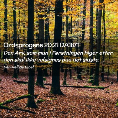 Picture 02 - Ordsprogene 20:21 DA1871 - Den Arv, som man i Førstningen higer efter, den - Bible Verse Picture
