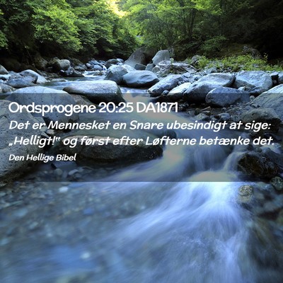 Picture 02 - Ordsprogene 20:25 DA1871 - Det er Mennesket en Snare ubesindigt at sige: - Bible Verse Picture